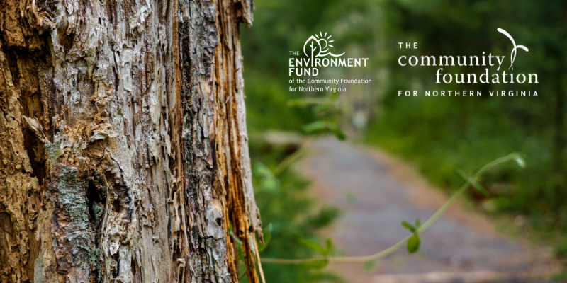 environment fund $1 million