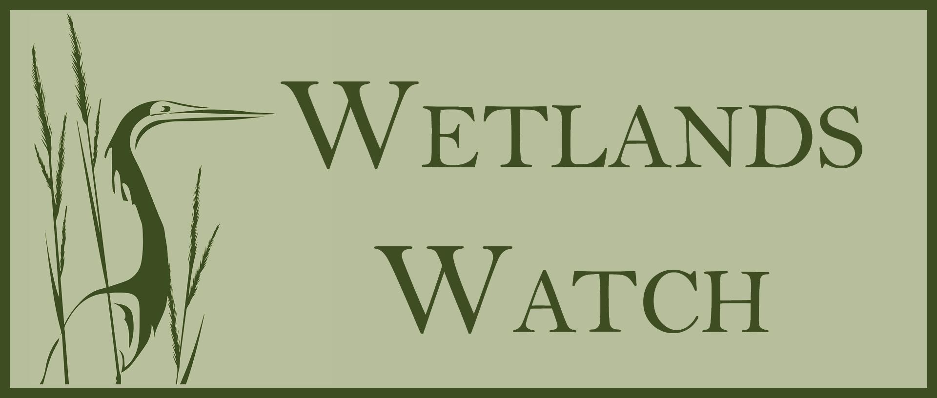 Wetlands Watch