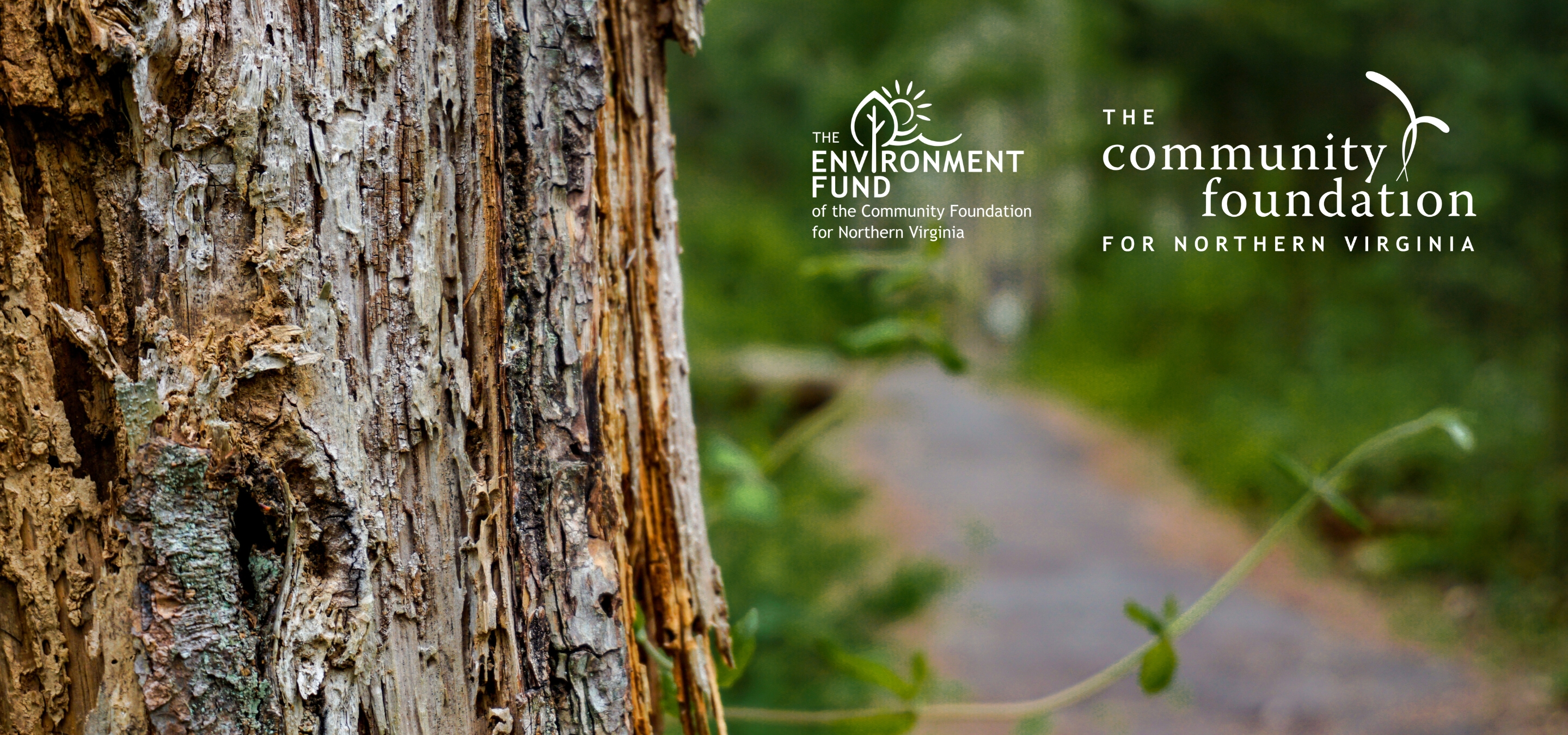 Environment Fund: $1 Million Endowment Mark